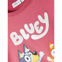 NAME IT Bluey Sweatshirt Sossi Mauvewood